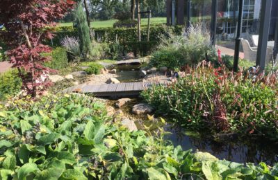 Waterloop in de tuin