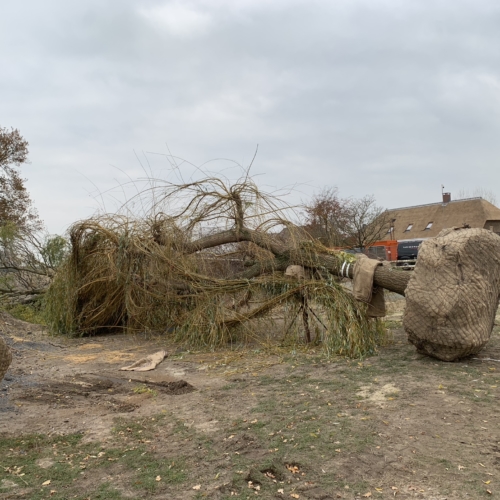 Project in uitvoering_deprachttuinen10